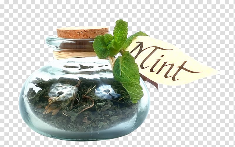 Condiment Herb Spice Mint Seasoning, Glass bottle plant transparent background PNG clipart