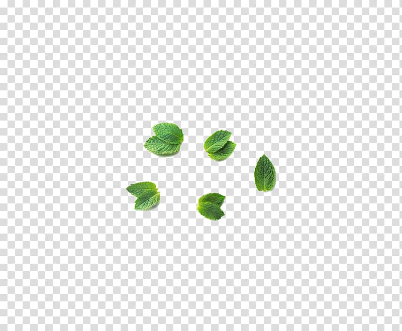 Green Mentha canadensis Leaf, Mint leaf transparent background PNG clipart