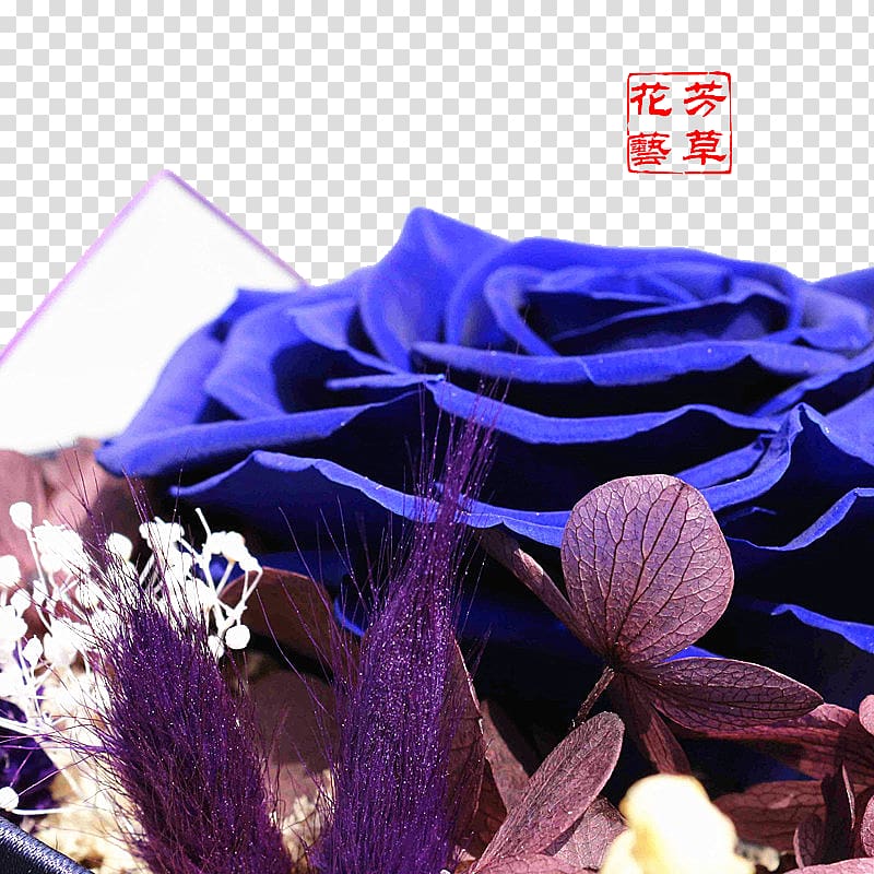 Blue flower Euclidean , BLUELOVER flower blue flowers transparent background PNG clipart
