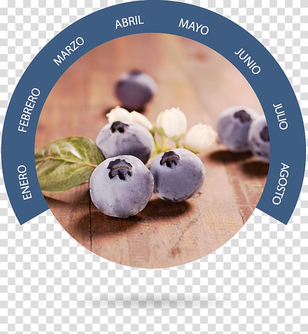 Bionest Blueberry Bilberry Almonte, blueberry transparent background PNG clipart