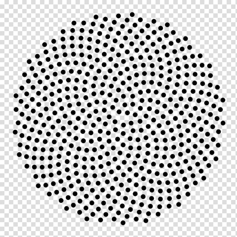 Fibonacci number Common sunflower Phyllotaxis Fermat\'s spiral, sunflower leaf transparent background PNG clipart