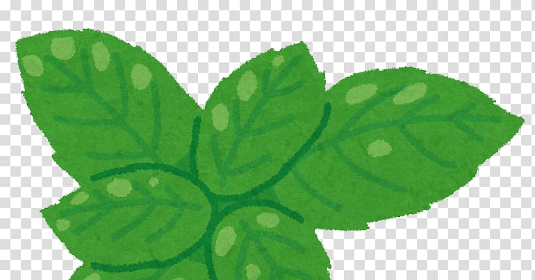 Lemon basil Herb Leaf Food, basil leaf transparent background PNG clipart