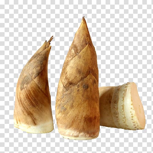 bamboo shoots product transparent background PNG clipart