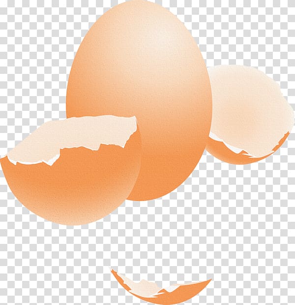 Eggshell Chicken Portable Network Graphics, egg transparent background PNG clipart