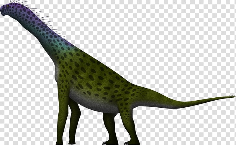 Atlasaurus Sauropoda Allosaurus Barosaurus Brachiosaurus, dinosaur transparent background PNG clipart