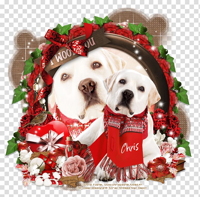 Dog breed Puppy love Christmas ornament, puppy transparent background PNG clipart