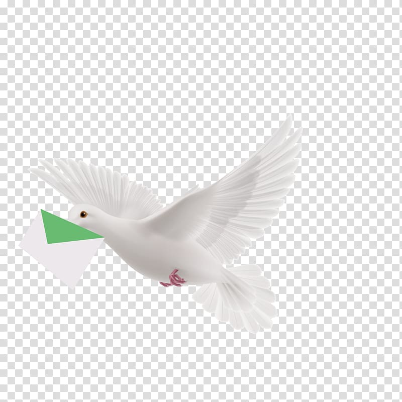 Homing pigeon Flight Columbidae Bird, Pattern Flying Pigeon Pigeon transparent background PNG clipart
