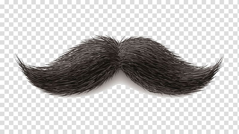 World Beard and Moustache Championships Hair, moustache transparent background PNG clipart