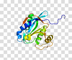 Line Point , line transparent background PNG clipart thumbnail