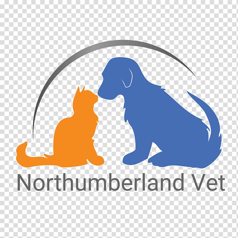 Dog Veterinary medicine Veterinarian Pet Cat, Dog transparent background PNG clipart