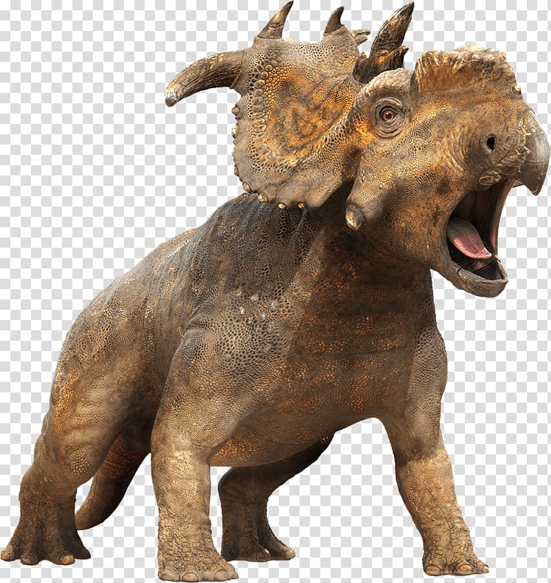 brown Triceratops illustration, Dinosaur Closeup transparent background PNG clipart