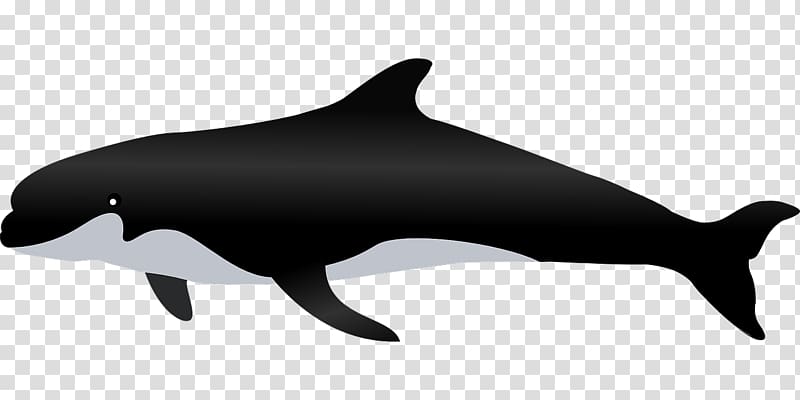 Whale Pixabay, Black Shark transparent background PNG clipart