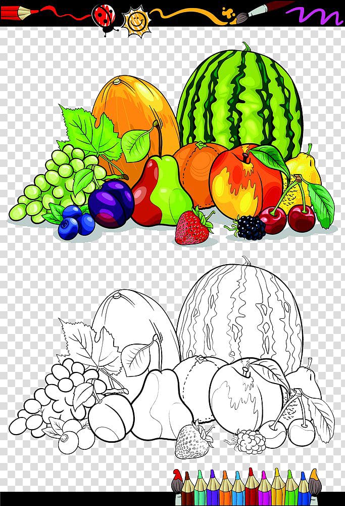 Fruit Vegetable Sketch, Great fruit rollup transparent background PNG clipart