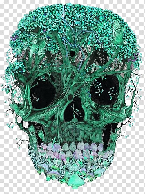 Skull art Calavera Lysergic acid diethylamide Skeleton, skull transparent background PNG clipart