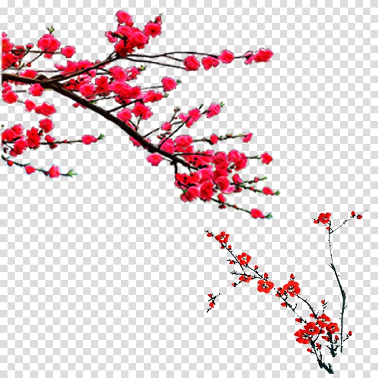 Plum blossom Chimonanthus praecox, others transparent background PNG clipart