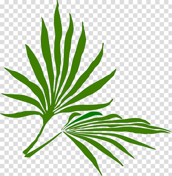 Palm Sunday Palm branch Easter , palm leaf transparent background PNG clipart