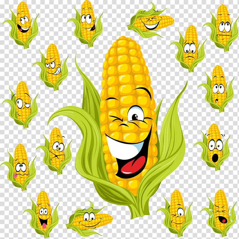 Corn on the cob Maize Sweet corn Illustration, corn transparent background PNG clipart