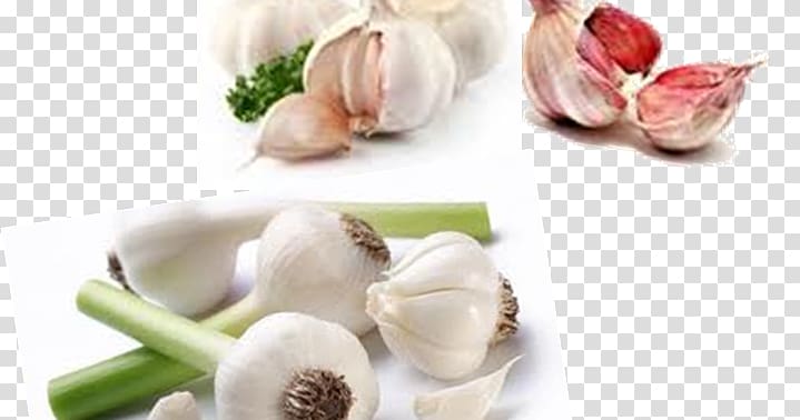 Garlic Broccoli Vegetarian cuisine Organic food Vegetable, Onion Genus transparent background PNG clipart
