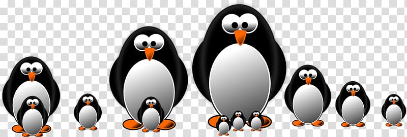 Little penguin Graphics Drawing, Penguin transparent background PNG clipart