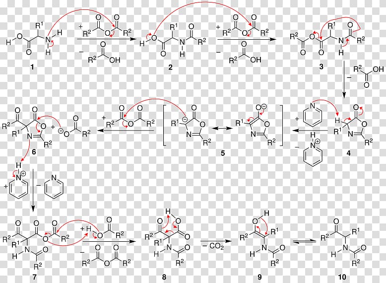 Dakin–West reaction Acetylation Acylation Acetic anhydride Reaction mechanism, bitten transparent background PNG clipart