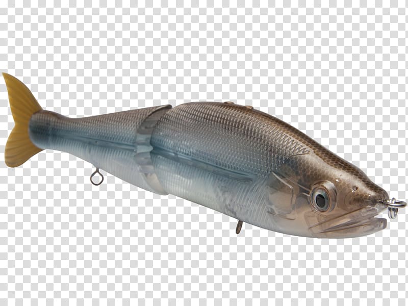 Milkfish 09777 Fish products Oily fish Salmon, largemouth bass transparent background PNG clipart