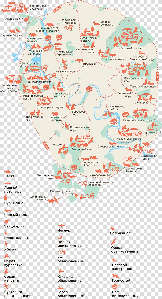 Water resources Line Point Map, line transparent background PNG clipart