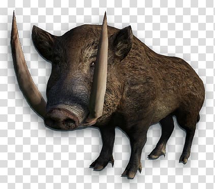 Boar transparent background PNG clipart