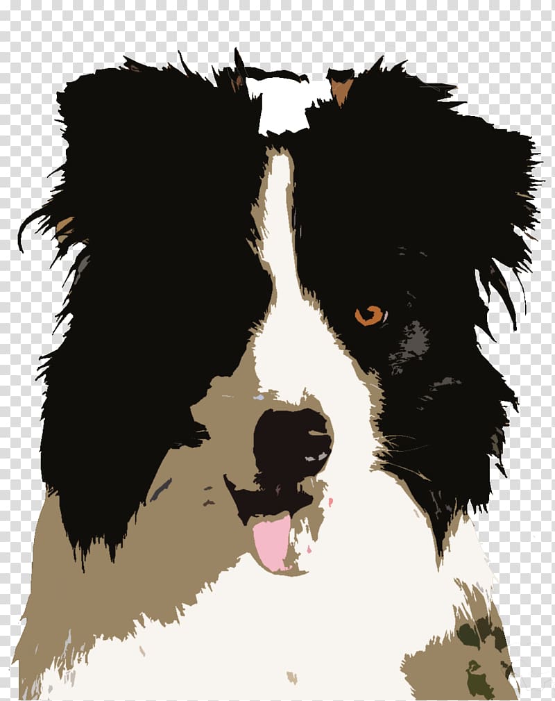 Border Collie Dog breed Puppy Rough Collie Collie's Sports Bar & Grill, puppy transparent background PNG clipart