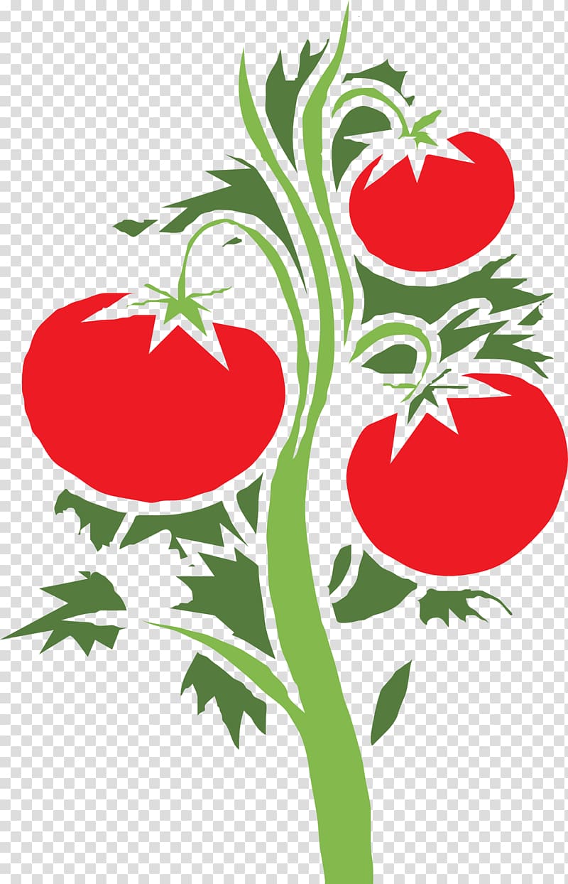 Cherry tomato Plant , tomato transparent background PNG clipart
