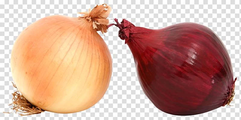 Yellow onion Red onion Shallot, Fresh Onions transparent background PNG clipart