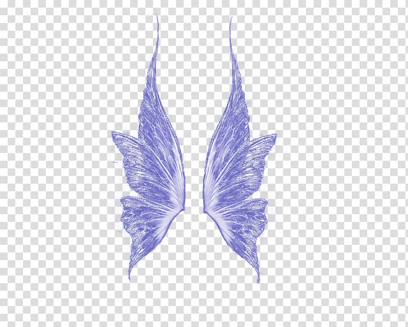 purple wings illustration, Fairy Elf Computer file, Flower Fairy wings transparent background PNG clipart