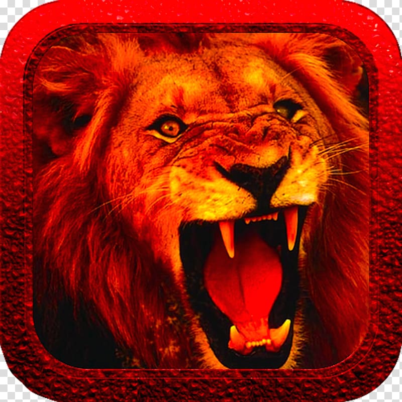White lion Desktop Anger Roar, bhagat singh transparent background PNG clipart
