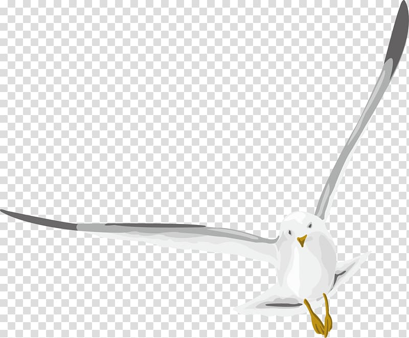 Designer, Seagulls fly with vivid designs transparent background PNG clipart