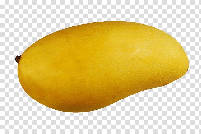 Mango Mangifera indica Coloring Fruits, A large mango transparent background PNG clipart