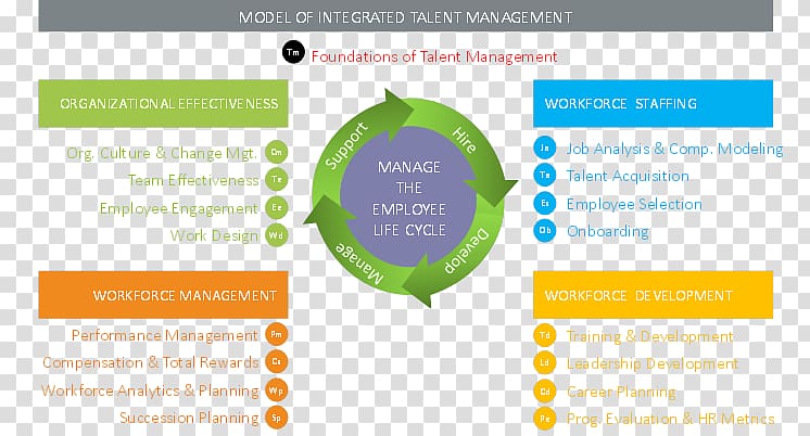Talent management Organization Leadership Employee engagement, Talent Management transparent background PNG clipart