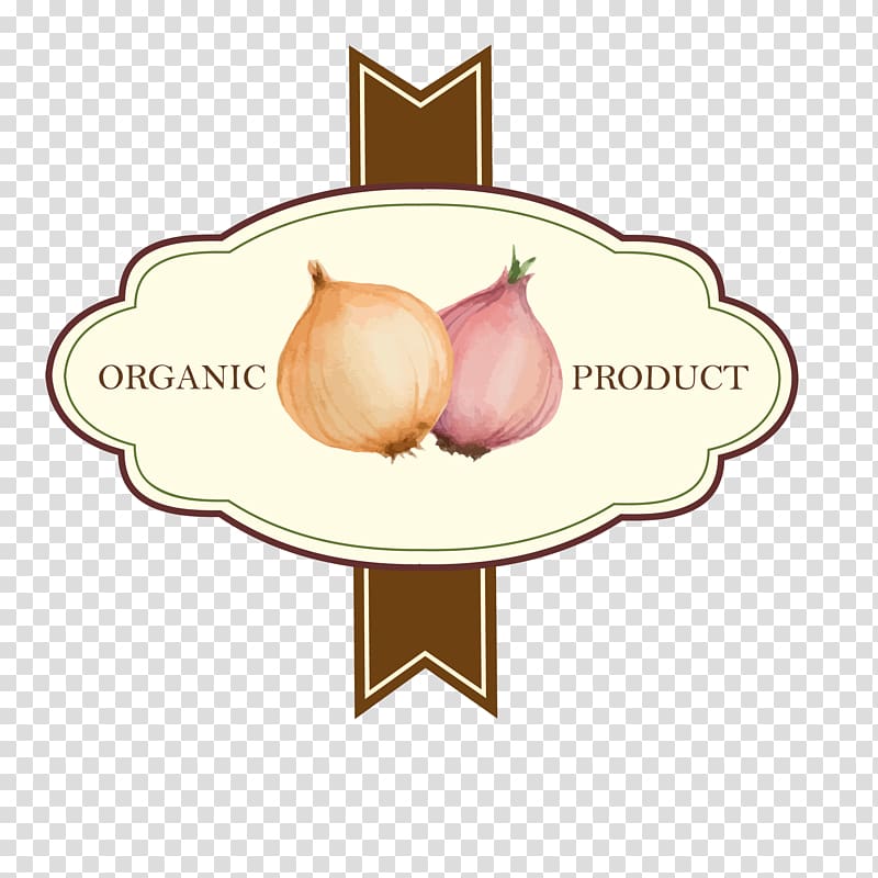 Shallot Illustration, Onion tag transparent background PNG clipart