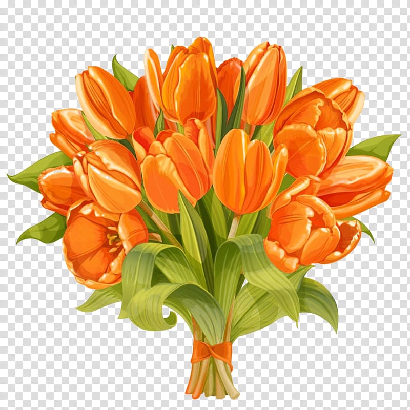 Floral design Tulip Flower bouquet, Warm tulip material transparent ...