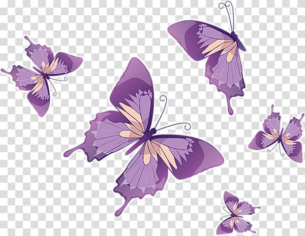 Butterfly Euclidean , Floating butterfly transparent background PNG clipart