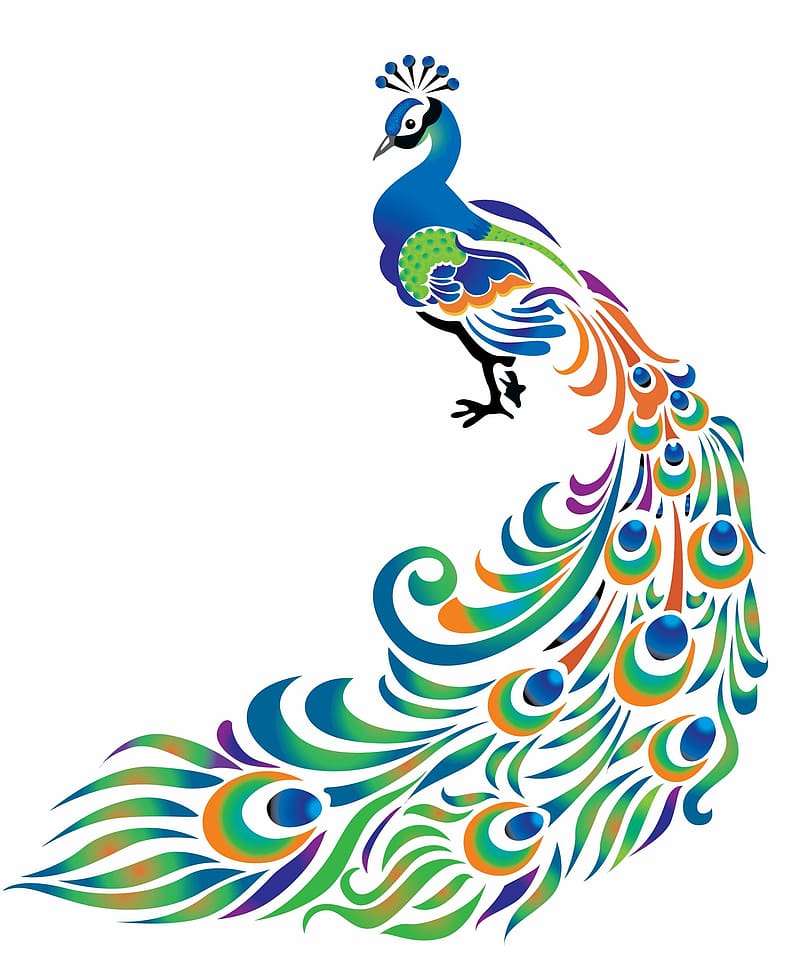 blue and orange peacock illustration, Drawing Peafowl , Peacock transparent background PNG clipart