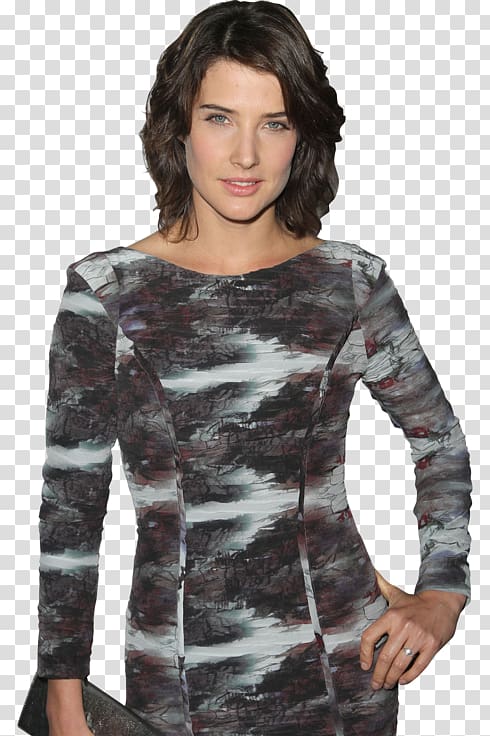 Cobie Smulders Robin Scherbatsky How I Met Your Mother Slap Bet T-shirt, how i met your mother transparent background PNG clipart