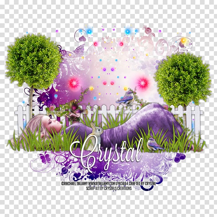 Box Violet Plant stem Desktop , lazy day transparent background PNG clipart