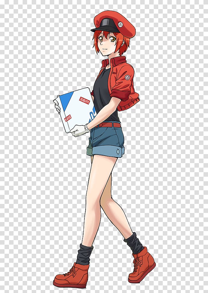 Cells at Work! MyAnimeList Manga, Anime transparent background PNG clipart