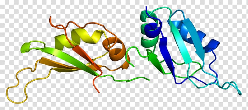 HNRNPA1 Homogeneous and heterogeneous mixtures Heterogeneous ribonucleoprotein particle, others transparent background PNG clipart