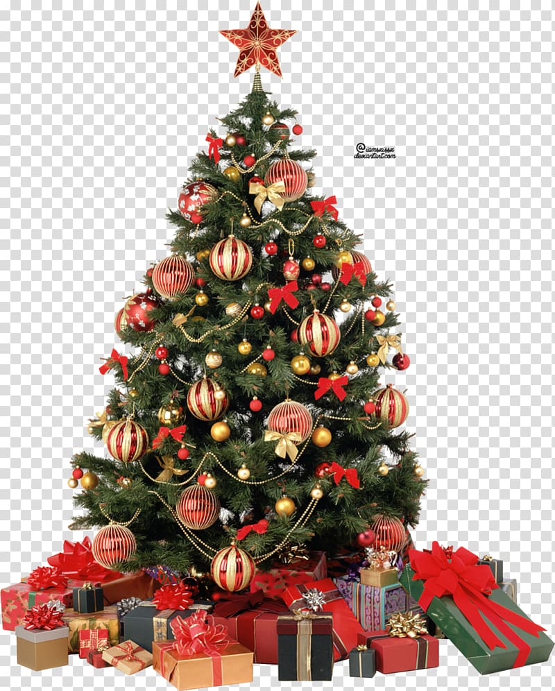 Christmas tree , Christmas tree transparent background PNG clipart