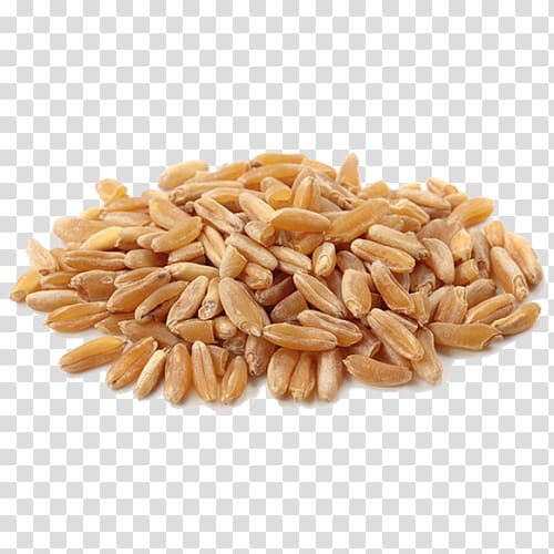 Khorasan wheat Organic food Cereal Wheat flour, flour transparent background PNG clipart