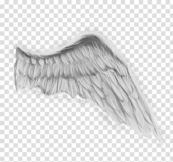 Angel wing Painting Drawing , painting transparent background PNG clipart