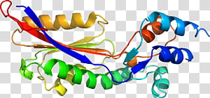 Line Point Organism , line transparent background PNG clipart thumbnail