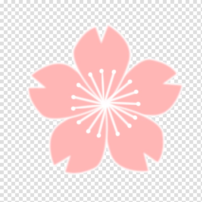 pink flower , Cherry blossom Drawing , sakura flower transparent background PNG clipart