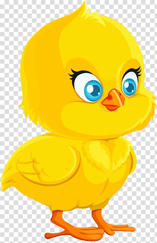 yellow duckling illustration, Chicken Cartoon Drawing, Yellow chick transparent background PNG clipart