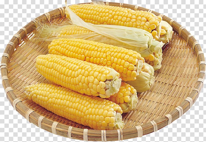 Corn on the cob Maize , Cornish transparent background PNG clipart